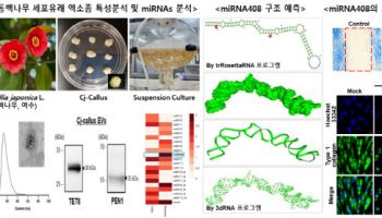 지에프씨생명과학 "동백나무 유래 피부 회복 유전자 효과 입증"