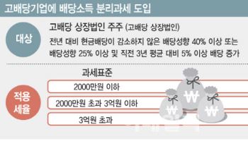 500만 삼전 주주도 혜택 못받아…배당소득세 실효성 논란