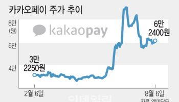 카카오페이, 스테이블코인 기대주인데…여전한 신중론