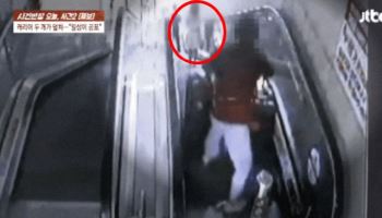 굴러떨어진 캐리어 2개에 ‘쿵’…“전치 8주, 1년 다 망가져”