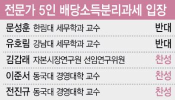 대주주 기준 강화가 문제? 배당 분리과세가 더 큰 문제