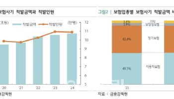 車보험료 인상, 사고 아닌 ‘사기’ 탓?…보험사기 역대 최대