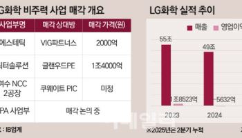 에스테틱 매각한 LG화학…LG에너지솔루션 지분 향방은