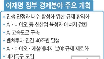 210조원 재정에 100조 국민펀드로 ‘진짜성장’…3% 성장률 시대로