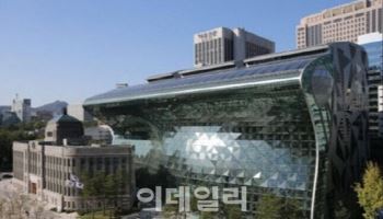“지반침하 징후 발견시 전문가 출동”…서울시, 자문단 운영 강화