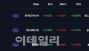 비트코인, 11만8400달러대로 하락…美 생산자물가 영향