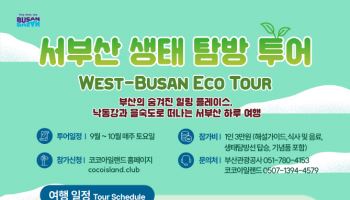 습지·갈대숲·탐방선 여행을…‘서부산 원데이 투어’ 10월까지 운영