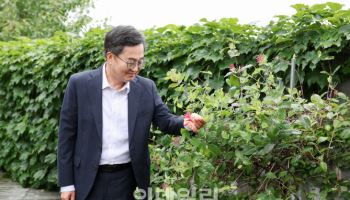 경기도지사 공관에 핀 인동초, 김동연이 기억하는 김대중은