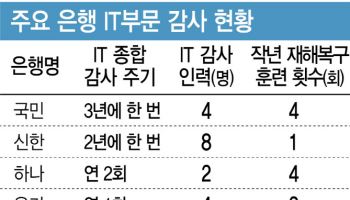 [단독]'구멍숭숭' 뱅킹 앱 내부통제…IT 감사 3년에 한 번