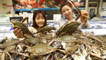 롯데마트 "금어기 해제…초신선 햇꽃게 맛보세요"