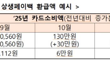 "최대 30만원 환급" 카드 더 쓰면 돌려받는 '상생페이백' 시행