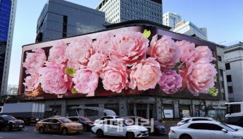 "미디어월 눈에 띄더니" 신세계百, ‘레드닷 디자인 어워드’ 4관왕
