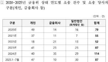 작년에만 114건…사흘에 한번 피소 당한 금융위