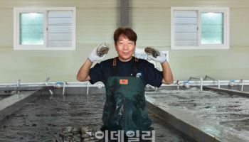 "로켓 덕에 매출 쑥"…쿠팡, 인구 감소 섬지역 판로 확대