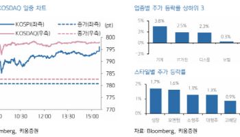 "마무리된 한미 정상회담…조선·대북 등 업종 쏠림 나타날 전망"