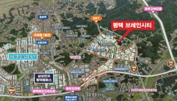 ㈜새날, 미래형 첨단복합도시 '평택 브레인시티' 분양