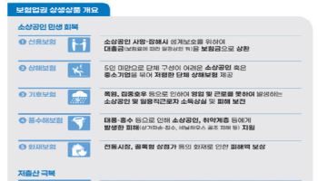 보험업계, 서민·소상공인 위한 무상보험 내놓는다…상생기금 300억 조성