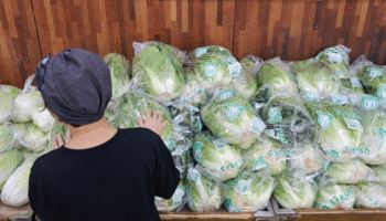 ‘기후플레이션’ 심해지는데…농수산 체질 바꿀 R&D 투자 비중은↓