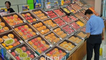 롯데마트, 추석사전예약 상품 40% 5만원 미만에 선봬