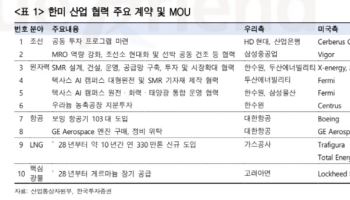 "원전, 한미 정상회담 수혜…장기 성장 모멘텀 유효"