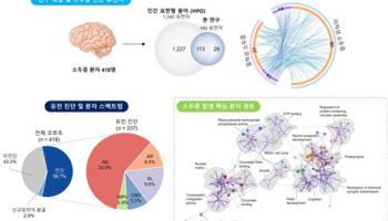 서울대병원·KAIST, 국내 소두증 유전자 스펙트럼 규명