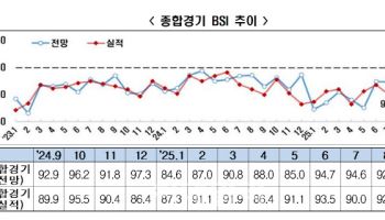 기업 경기전망 42개월째 '부정적'…트럼프 관세 직격탄