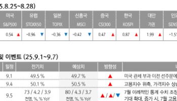 "美 증시 9월 계절적 하락 시기…관망도 전략"