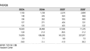 삼양식품, 불닭 브랜드로 글로벌 성장 가속…목표주가 190만원 ↑-대신