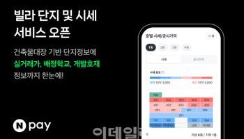 빌라 시세도 네이버페이 부동산에서…시세·실거래가 서비스 오픈