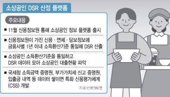 11월 730만 소상공인 DSR 나온다…특화 신용평가모델 개발