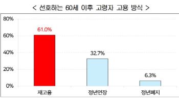기업 10곳 중 6곳 "정년연장보다 재고용"