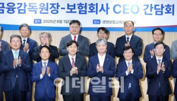 취임후 첫 보험회사 CEO 만난 금감원장