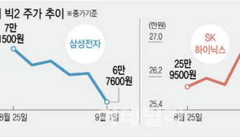 美규제·中탈 엔비디아에 국내 반도체주 ‘흔들’…저가매수 기회[주톡피아]
