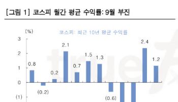 “코스피, 9월도 제자리걸음…시장 전체보다 개별종목 대응해야”