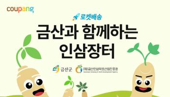 "수삼·액기스 할인"…쿠팡, ‘금산 인삼 기획전’ 개최