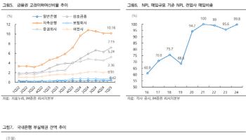 “NPL 시장 성장 지속…전업사 자금조달 다각화”