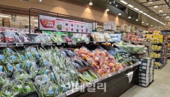 “추석 당일 쉽니다”…대형마트·슈퍼 의무휴업일 속속 조정