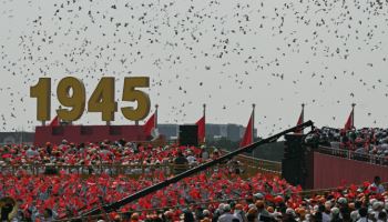 中톈안먼 광장 빼곡하게 채운 8만마리 비둘기…무슨 일?