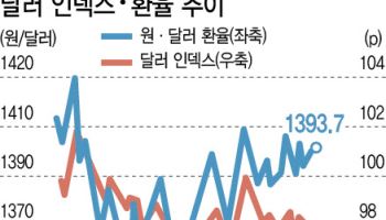 환율 왜 오르기만하나 했더니…해외투자가 '발목'