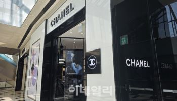 "지금이 제일 싸다"…명품가격 인상에도 매출 늘었다
