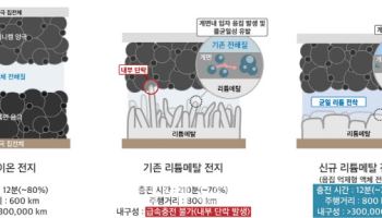 LG엔솔-카이스트, 리튬메탈전지 '12분' 급속 충전 기술 개발