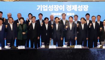 초저성장 주범은 '기업 바늘구멍 성장'…"계단식 규제 없앨 때"