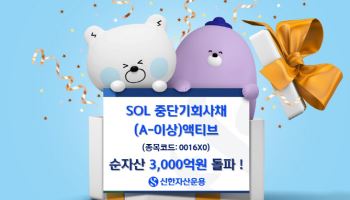 SOL중단기회사채(A-이상)액티브ETF, 순자산 3000억 돌파