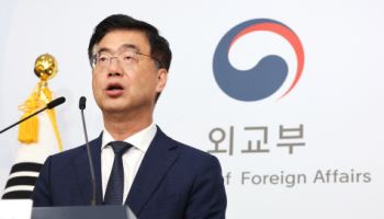 외교부, 美 현대차·LG엔솔 단속에 '항의'…"국민 권익 침해 안돼"(종합)