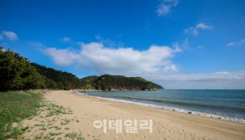 바비큐 파티에 축구 입중계까지…섬 야영장서 이색 캠핑