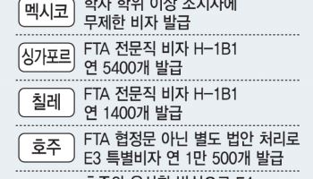 한국인 美 특별취업비자 신설 힘받나…정부 "비자 체계 개선"(종합)