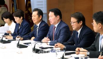 최태원 "美 원만한 경영활동 위해 비자 등 구조적노력 필요"(종합)
