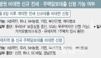 "전세대출 줄어드나요" 문의 빗발…은행 비대면 신청 셧다운 악순환