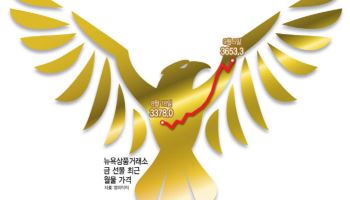 금값 랠리 천장 뚫었다…金개미들 '함박 웃음'[주톡피아]