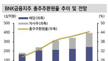 BNK금융지주, 상대적으로 낮은 규제 민감도-신한